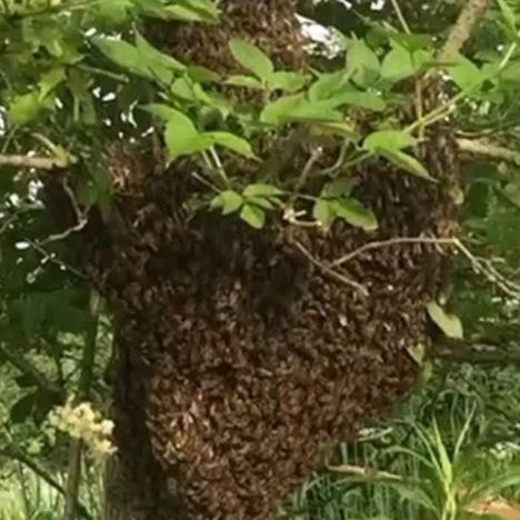 Bild: Kerstin Es Sebti